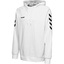 HMLGO COTTON HOODIE white