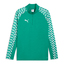 teamLIGA26 Training 1/4 Zip Top sportgreenpumawhitesportgreen