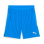 teamCUP Shorts electroroyalpumawhite
