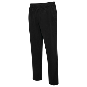 FORMAL CHINO PANT BEE