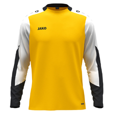 Longsleeve Dynamic-2404541