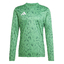Team Icon 25 Trikot teagrnwhite
