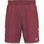 WINGS Shorts without inner slip bordeaux