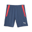 teamLIGA Training Shorts 2 (open pockets) inkybluefireorchid