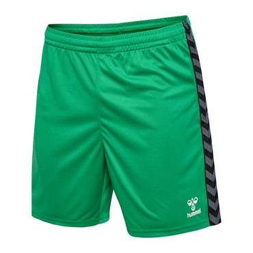 HMLAUTHENTIC PL SHORTS