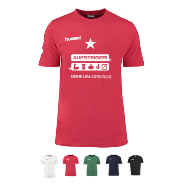 14er SET WPV HUMMEL AUFSTEIGERSHIRT