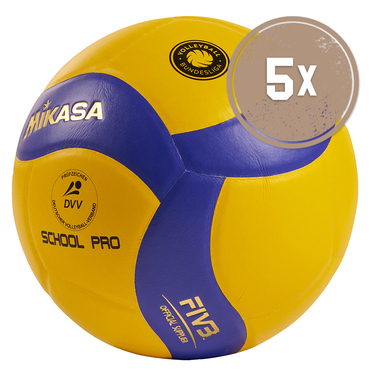 5er Ballpaket VOLLEYBALL V333W-DVV / VBL School Pro