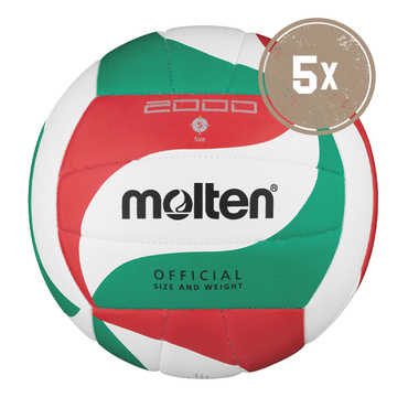 5ER BALLPAKET V5M2000 VOLLEYBALL