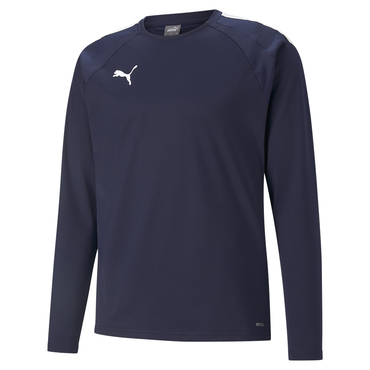 TEAMLIGA TRAINING SWEAT