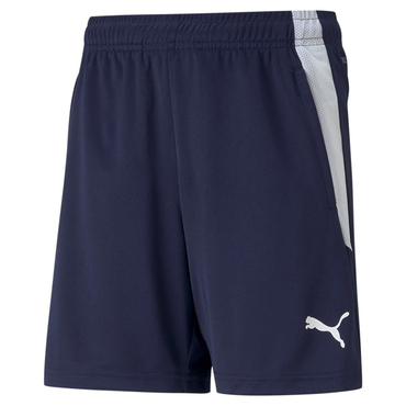 TEAMLIGA TRAINING SHORTS JR