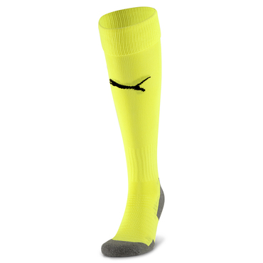 Team LIGA Socks CORE