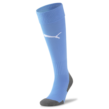 TEAMLIGA SOCKS CORE