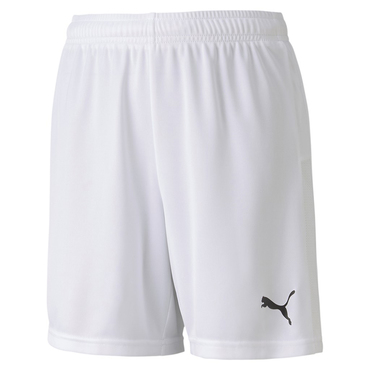 teamGOAL 23 knit Shorts jr