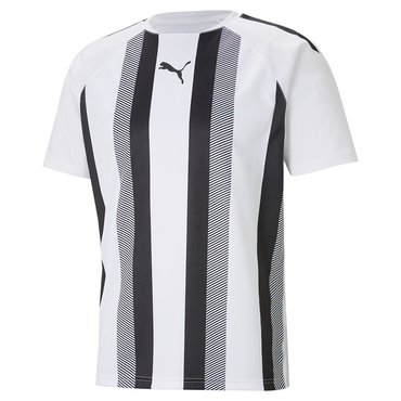 TEAMLIGA STRIPED JERSEY