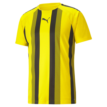 TEAMLIGA STRIPED JERSEY