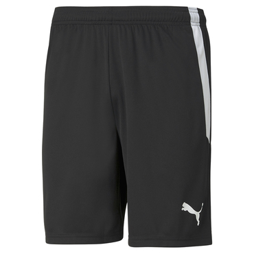 TEAMLIGA SHORTS