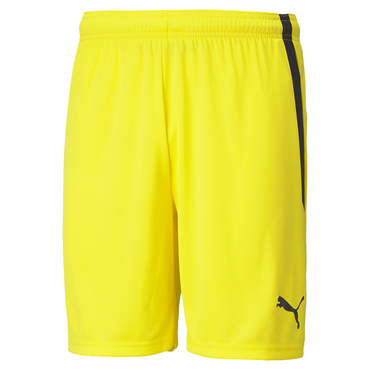 TEAMLIGA SHORTS