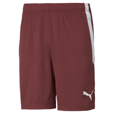 TEAMLIGA SHORTS