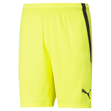 TEAMLIGA SHORTS