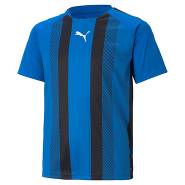 TEAMLIGA STRIPED JERSEY JR