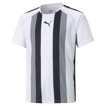 TEAMLIGA STRIPED JERSEY JR