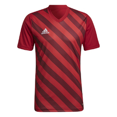 ENTRADA 22 GRAPHIC TRIKOT