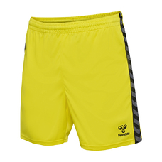 HMLAUTHENTIC PL SHORTS