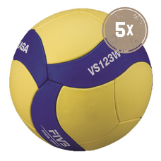 5ER BALLPAKET VOLLEYBALL VS123W-SL