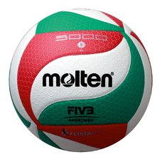 V5M5000-DE VOLLEY-BALL