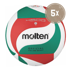 5ER BALLPAKET V5M4500-DE VOLLEYBALL