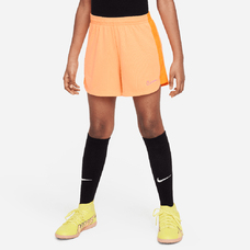 Academy 23 Shorts Femme