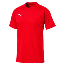 LIGA TRAINING JERSEY