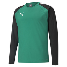 TEAMLIGA TRAINING SWEAT