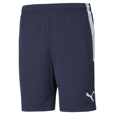 TEAMLIGA TRAINING SHORTS