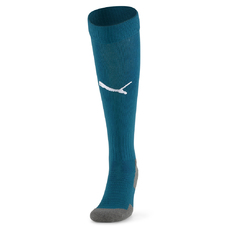 TEAMLIGA SOCKS CORE