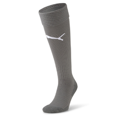 TEAMLIGA SOCKS CORE