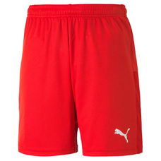 teamGOAL 23 knit Shorts jr