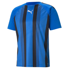 TEAMLIGA STRIPED JERSEY