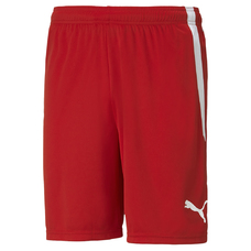 TEAMLIGA SHORTS