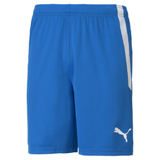 TEAMLIGA SHORTS