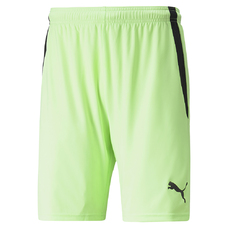 teamLIGA Shorts