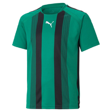 TEAMLIGA STRIPED JERSEY JR