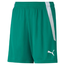 TEAMLIGA SHORTS JR