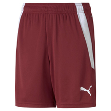 TEAMLIGA SHORTS JR