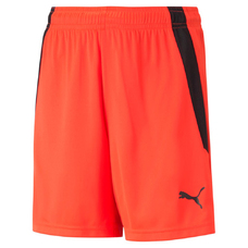 TEAMLIGA SHORTS JR