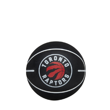 NBA DRIBBLER BASKETBALL TORONTO RAPTORS